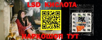 прущие грибы Кумертау