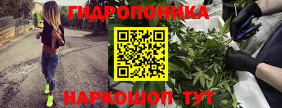 прущие грибы Кумертау