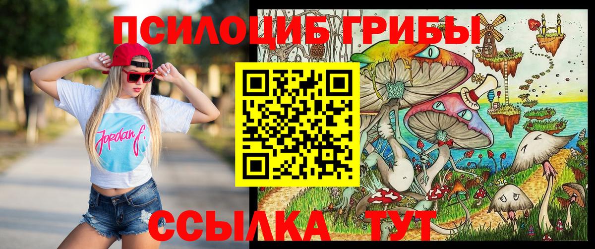 Псилоцибиновые грибы Cubensis Видное