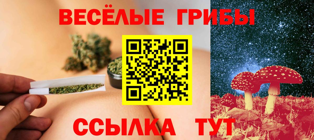 Галлюциногенные грибы MAGIC MUSHROOMS  Вход с VPN  Видное 